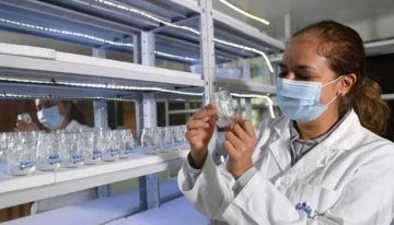 Esta es la próxima generación de científicos en Europa: El CEI compromete 761 millones de euros en becas a proyectos estratégicos