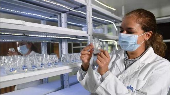 Esta es la próxima generación de científicos en Europa: El CEI compromete 761 millones de euros en becas a proyectos estratégicos