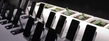 ¿Es bueno para la batería usar el móvil mientras lo cargas? Experimentaron con 16 iPhone durante 193 días para comprobarlo y este es el resultado 