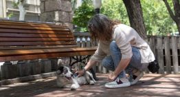 Una veterinaria revela el mejor método para detectar problemas de salud en tu mascota: «Para que te quedes tranquilo»