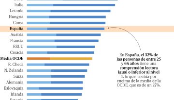 La OCDE destaca dos lacras de la educación española: un tercio de los adultos con bajo nivel de comprensión lectora y de nuevo en cabeza de la UE en 'ninis'