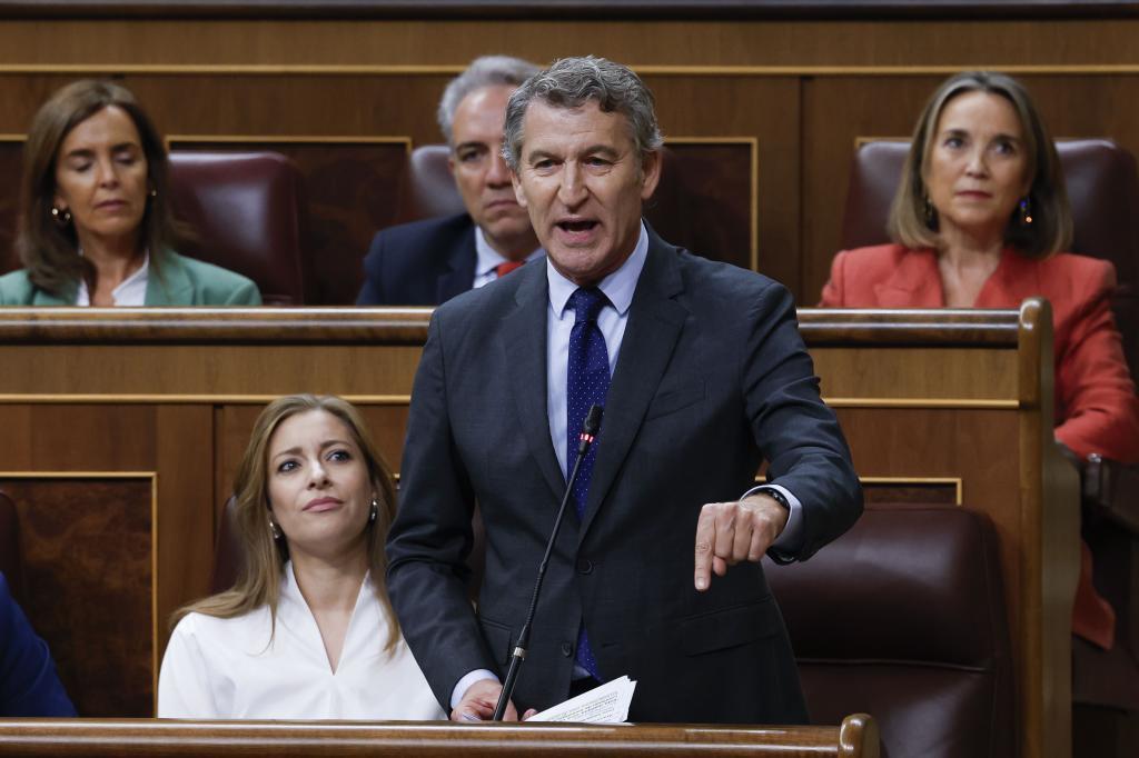 Alberto Núñez Feijóo, durante su intervención en la sesión de control.