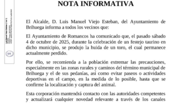 Alertan a la población de Brihuega (Guadalajara) y sus aledaños de la presencia de un toro perdido desde hace cinco días tras un festejo en Romancos