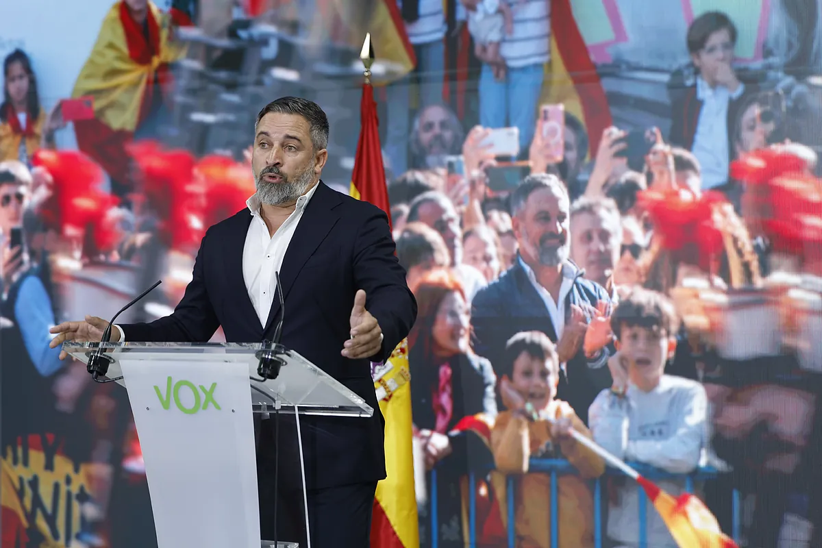 Abascal se muestra «perplejo» con que Feijóo le «compare» con Bildu por su ausencia en la tribuna: «Se ha debido dar un golpe en la cabeza»