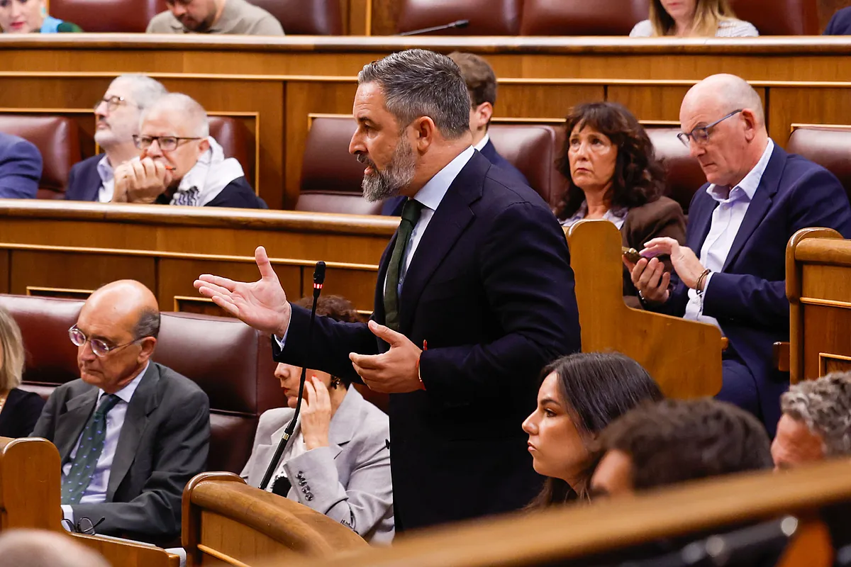 El Supremo anula la sanción de 233.300 euros impuesta por el Tribunal de Cuentas a Vox