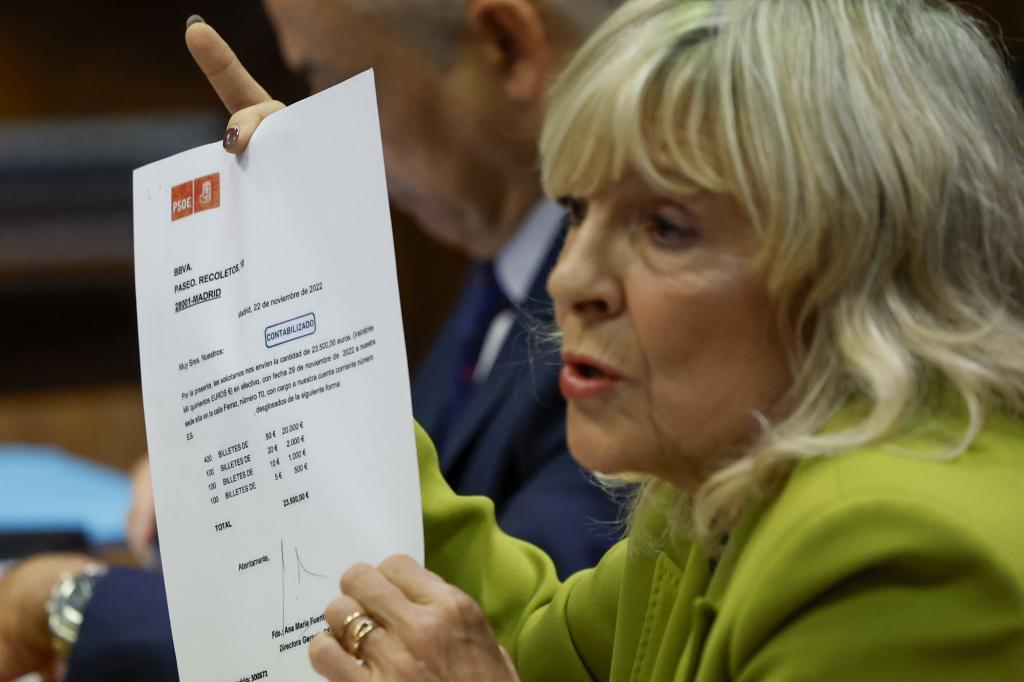 Mar Caballero, senadora de UPN, durante sus preguntas a Sánchez.