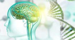 El CSIC diseña unas moléculas sintéticas que reparan en el laboratorio una alteración frecuente en el autismo