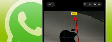 Soy el único de mis amigos que usa las Live Photos del iPhone. Con lo último de WhatsApp espero convencerles 