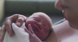 30 años del Banc de Cordó Umbilical: un referente internacional que ha salvado a más de 2.000 pacientes con leucemias 30 años del Banc de Cordó Umbilical: un referente internacional que ha salvado a más de 2.000 pacientes con leucemias