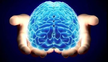 Así es como la exposición al plomo ha cambiado el comportamiento social y las capacidades cognitivas de los humanos