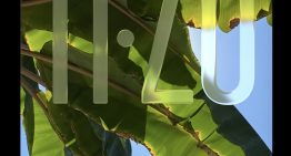 Guía rápida para cambiar los controles en la pantalla de bloqueo de tu iPhone y personalizarlo Guía rápida para cambiar los controles en la pantalla de bloqueo de tu iPhone y personalizarlo