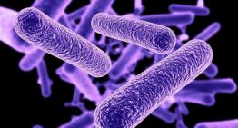 Los casos de legionelosis aumentan más de un 13% en España en el último año: «La tendencia al alza es preocupante «