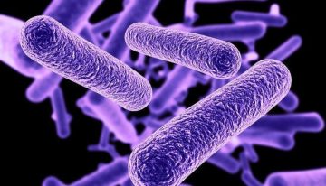 Los casos de legionelosis aumentan más de un 13% en España en el último año: «La tendencia al alza es preocupante «