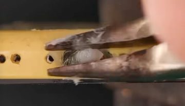 Los vídeos limpiando puertos de iPhone y AirPods con cera se han hecho virales. Y es un método peligroso