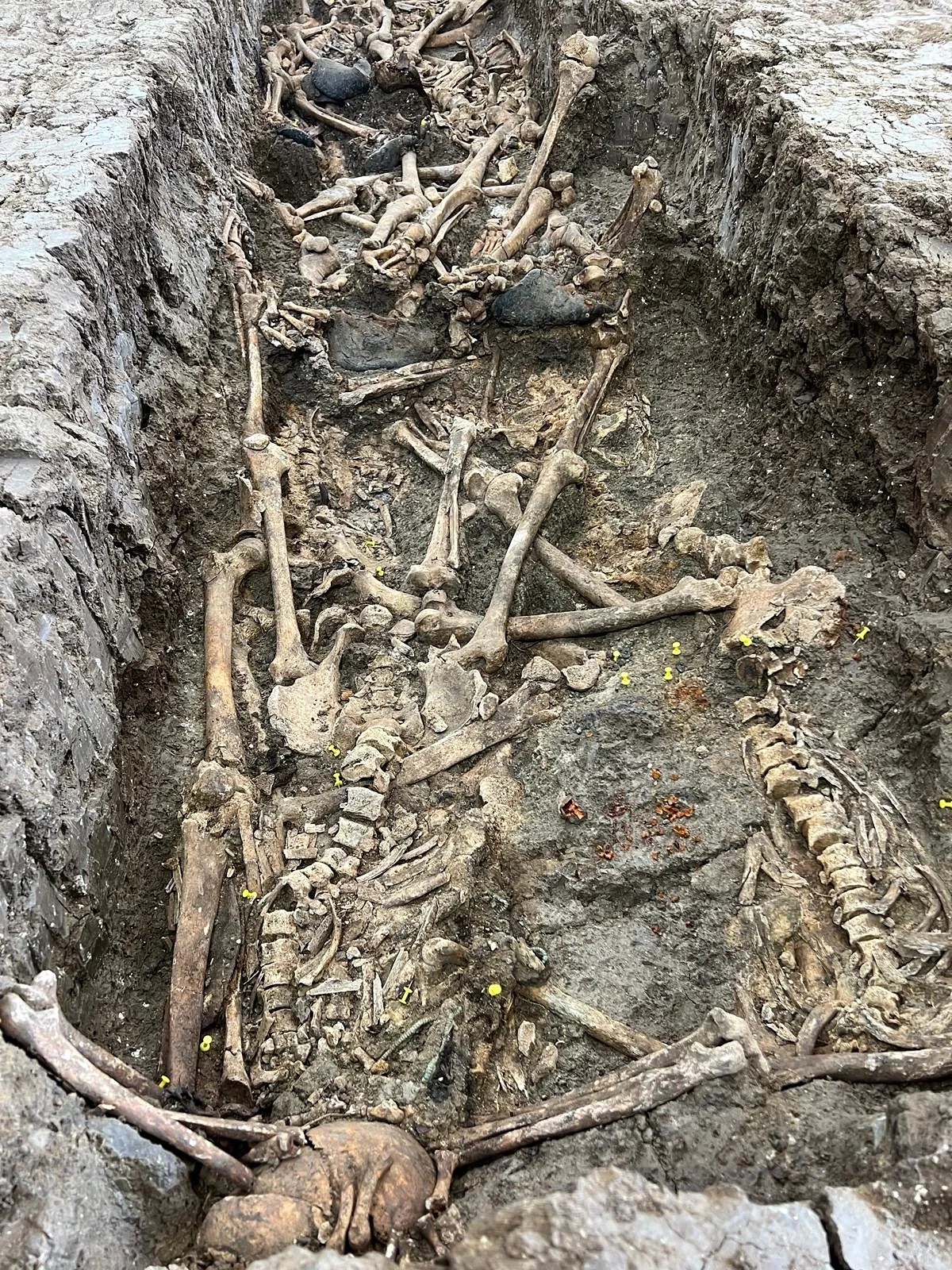 Hallan los restos de 23 asesinados «con saña» por la represión franquista en Villanueva de la Serena