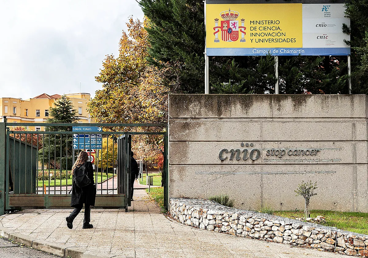 Un alto cargo del CNIO denuncia el robo de 25 millones de la lucha contra el cáncer en contratos públicos durante 18 años