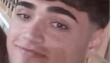 La mala suerte de Martín: aplastado por una palmera en Torrevieja tras perder a sus padres