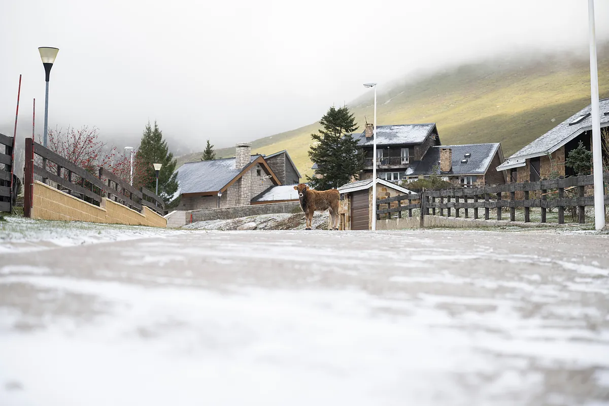 Una masa de aire ártico trae el primer zarpazo invernal a España con nieve en 11 provincias y frío intenso