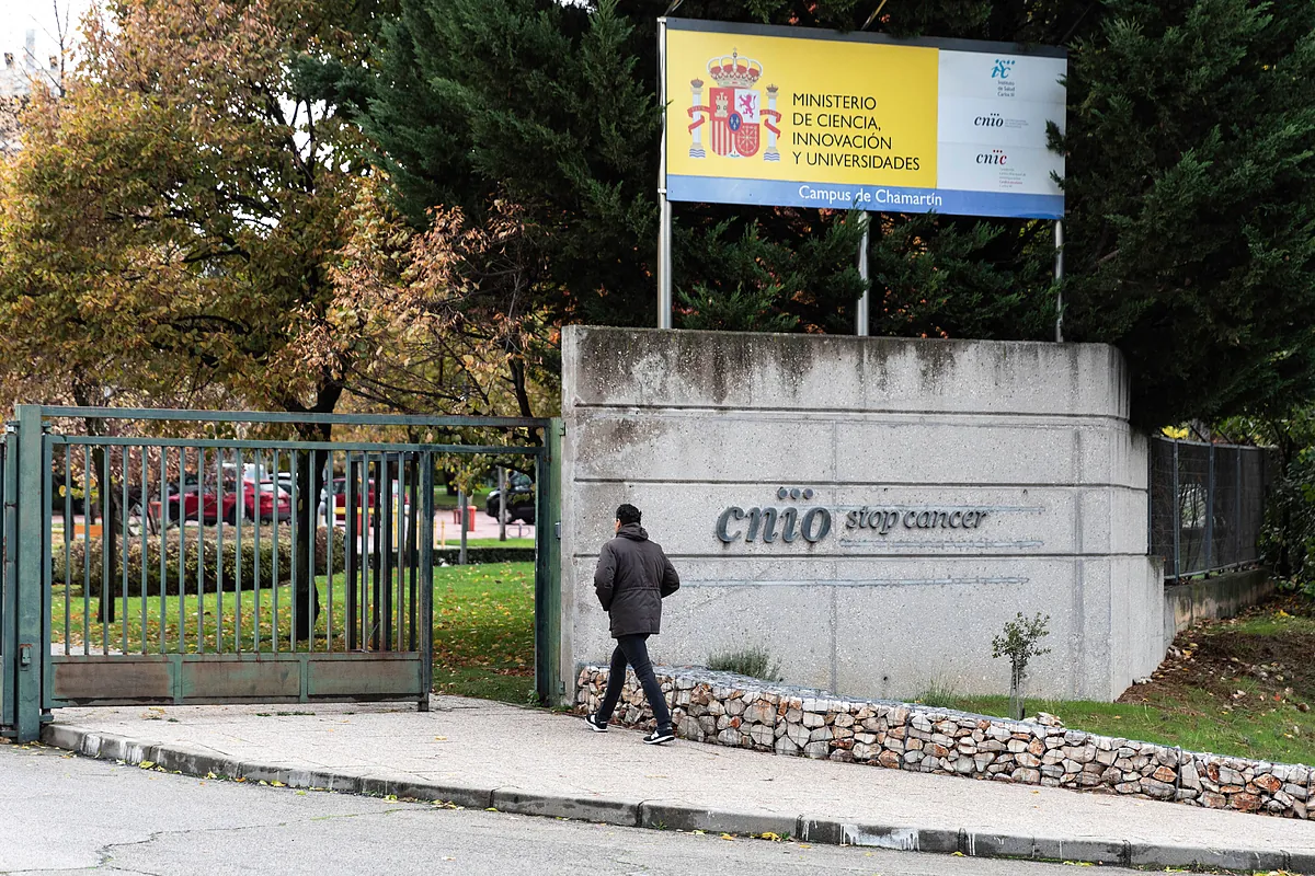 Un cerebro del 'Caso Púnica' contrató durante años a través de su esposa con la presunta trama que robó 25 millones contra el cáncer en el CNIO