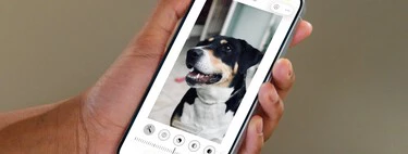 Llevo años buscando editores de fotos para el iPhone. Resulta que ya hay uno instalado, que es gratis y me sirve en el 99% de los casos
