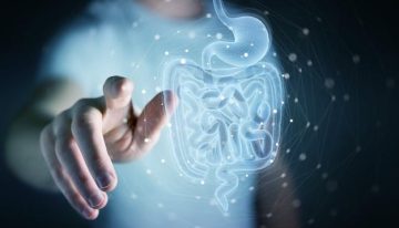 Un nuevo estudio relaciona los microbios intestinales con enfermedades cardíacas comunes