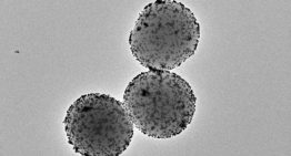 Científicos desarrollan microrrobots que liberan fármacos en el lugar exacto y evitan efectos secundarios