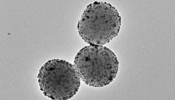 Científicos desarrollan microrrobots que liberan fármacos en el lugar exacto y evitan efectos secundarios