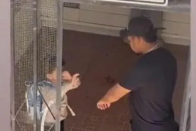 La defensa del acusado de matar a Lucas, el niño de La Garrucha, aporta audios del menor para sostener que murió víctima del «curanderismo»