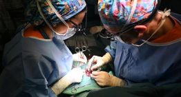 El Hospital Gregorio Marañón realiza el primer trasplante parcial de corazón en España a una bebé de siete meses: «Es una enorme esperanza»