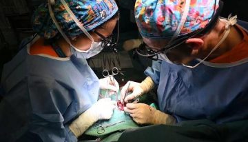 El Hospital Gregorio Marañón realiza el primer trasplante parcial de corazón en España a una bebé de siete meses: «Es una enorme esperanza»