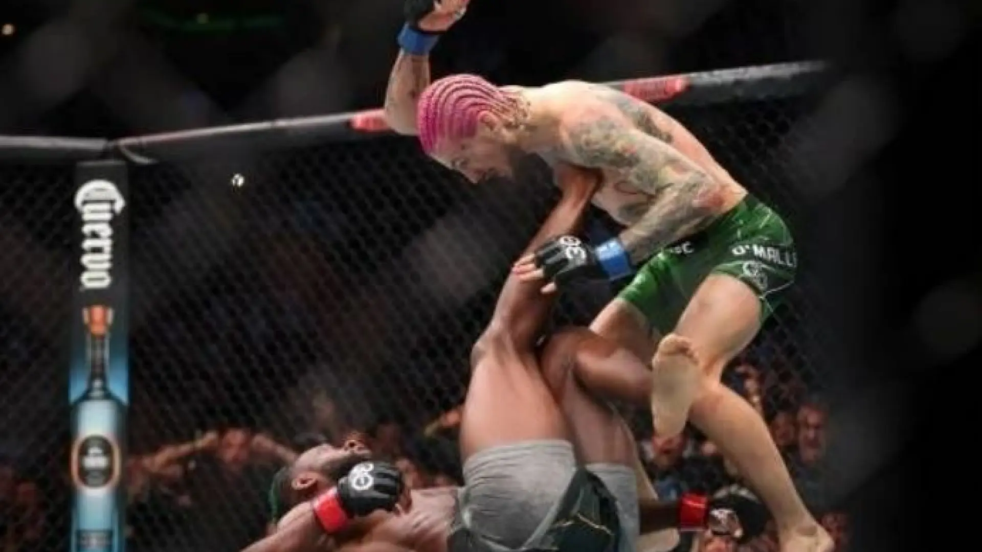 Sean O’Malley, excampeón de UFC y habitual 'enemigo' de Topuria: «Su situación es una mierda, y lo peor es que se ha hecho público»
