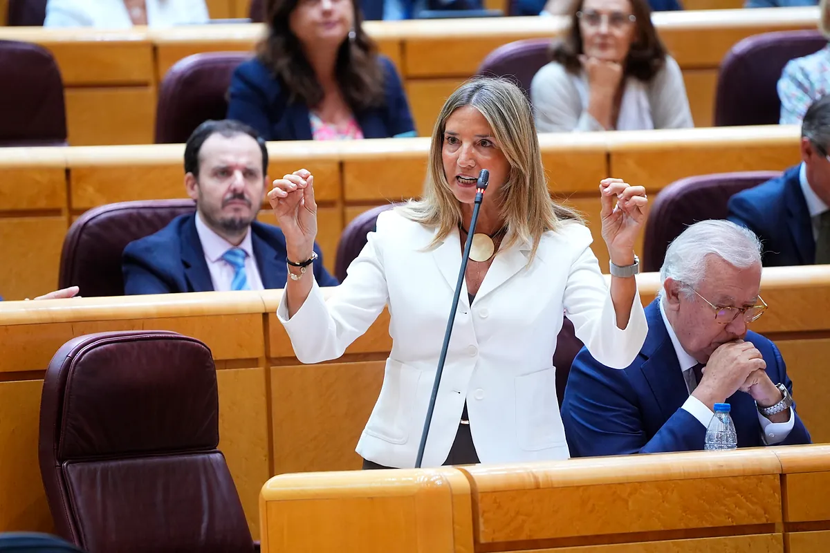 El Senado investigará la conexión del Gobierno con el régimen de Maduro: el PP impulsa otra comisión sobre Plus Ultra y el 'caso Hidrocarburos'