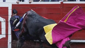 El milagro del banderillero que regresó de la muerte: «Los médicos le dijeron a mi mujer que preparase todo en el tanatorio»