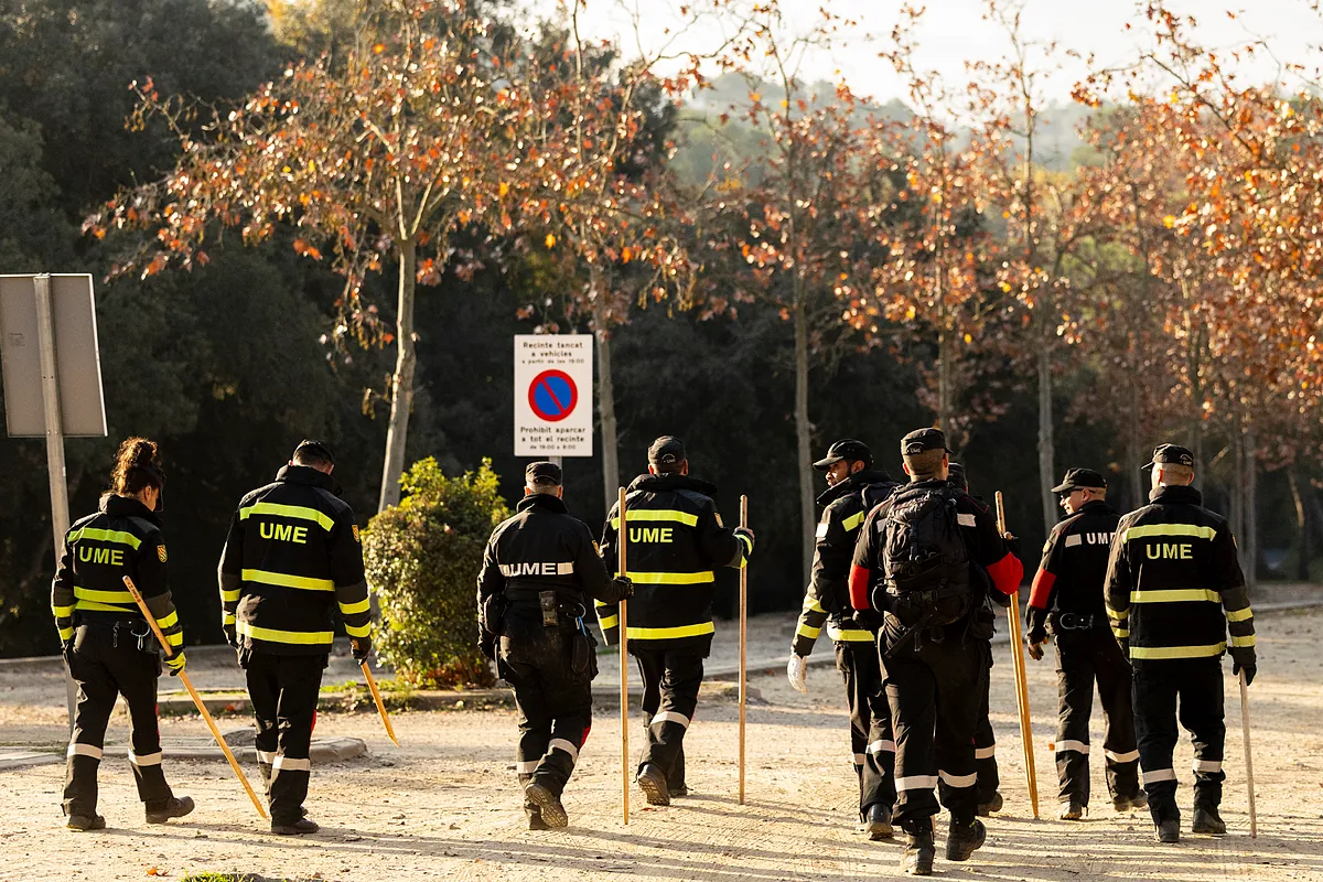 Cataluña detecta 18 nuevos jabalíes con peste porcina africana en Cerdanyola que elevan el total a 47 ejemplares infectados