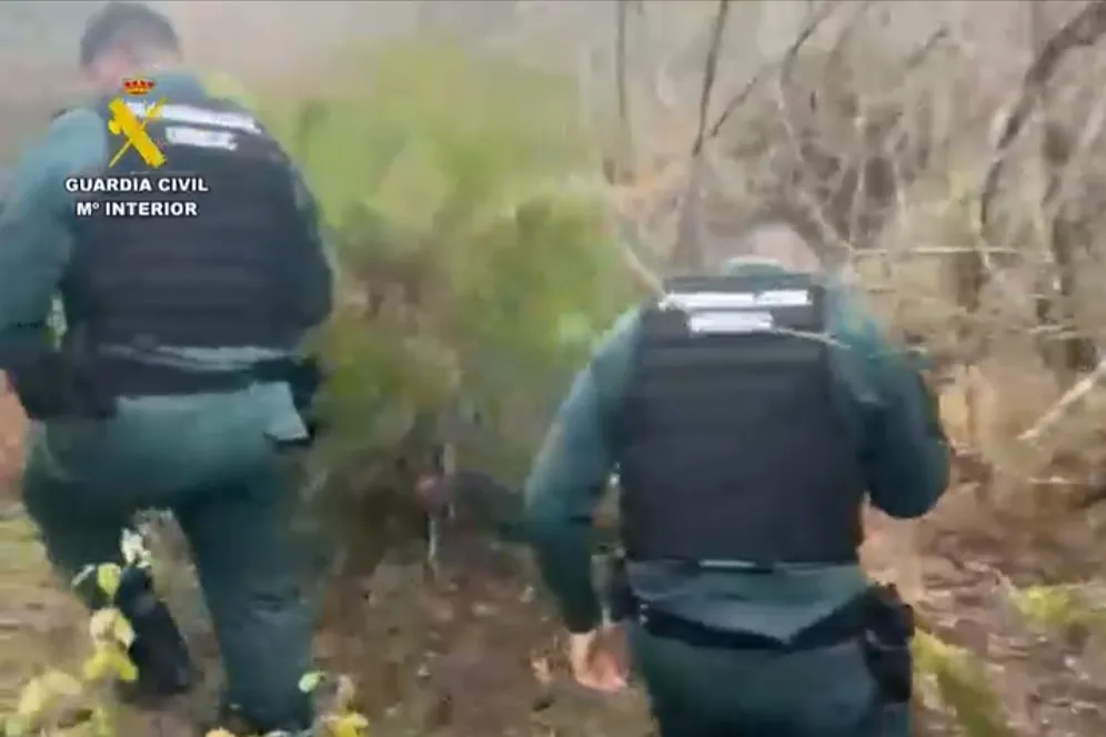 Encuentran herido a un hombre en Cenicientos que fue al bosque a por leña el pasado jueves y desapareció