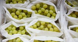 Qué alimentos se deben evitar para no sufrir atragantamientos infantiles