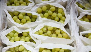 Qué alimentos se deben evitar para no sufrir atragantamientos infantiles