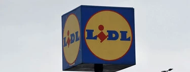 Mañana viernes, 9 de enero, llega a Lidl el radiador barato pero potente que conserva el calor mucho más tiempo