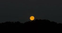 Luna del lobo 2026: fecha, hora y cómo ver la primera superluna del año en España