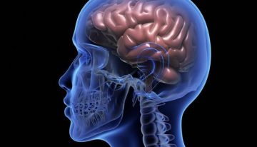 ¿Y si el cerebro no creara la mente? La teoría del neurocientífico español Álex Gómez-Marín tras su experiencia cercana a la muerte