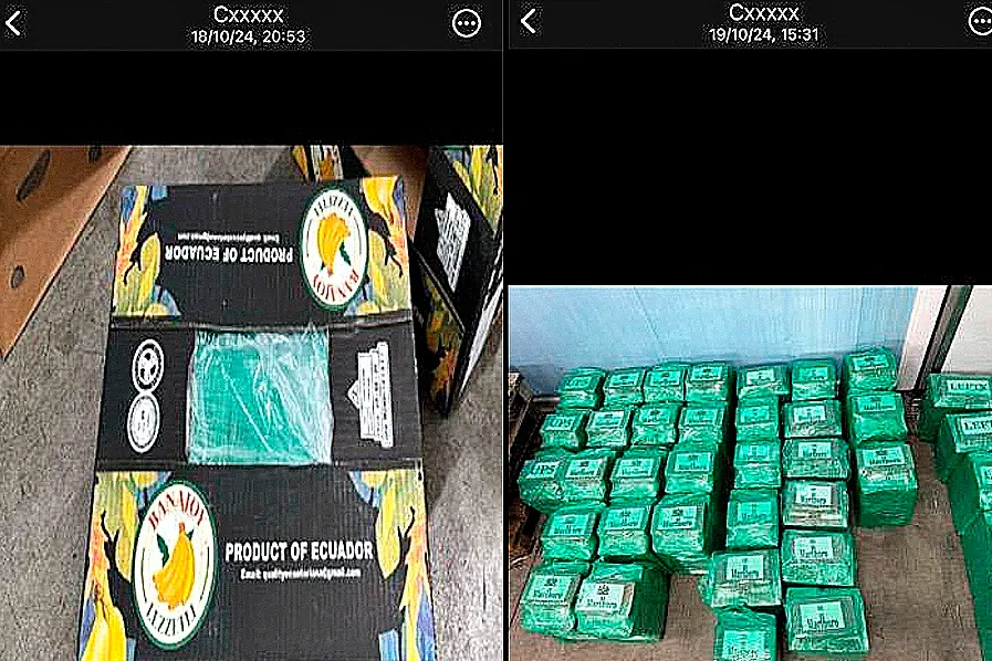 Las 13 toneladas de 'coca' entre plátanos que hicieron caer al 'Anodino' de la UDEF: «¿De dónde vino el chivatazo?»