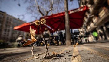 Barcelona se llena de polen: estas son las plantas que más alergia provocan esta primavera