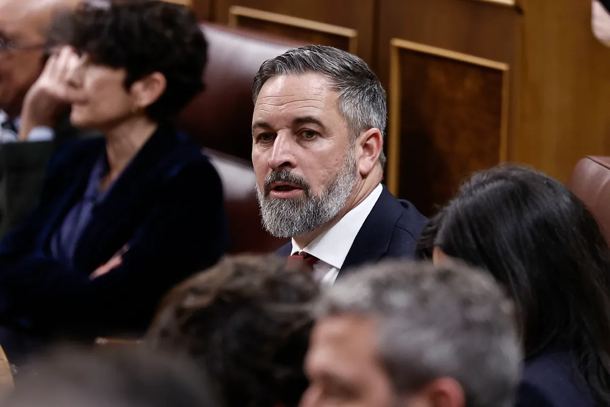 Vox intenta apagar a los críticos ligándolos a una «estrategia» del PP