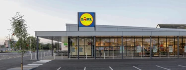 Hoy lunes, 23 de marzo, llega a Lidl el aliado compacto y barato para sobrellevar la alergia esta primavera