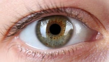 La revolución de la oculómica, la disciplina que utiliza el ojo para detectar enfermedades: «Parece ciencia ficción, pero el resultado es espectacular»