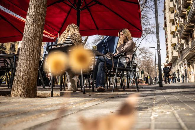 Las alergias al polen de esta primavera disparan las consultas médicas: «Hay nueve meses de espera en la sanidad pública y dos en la privada»