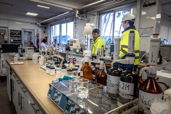 La proteína AP2A1 podría alargar la vida y prevenir el cáncer: el descubrimiento de unos científicos de Osaka