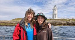 La UCA desarrolla un sistema de inteligencia artificial para detectar cetáceos en el Estrecho de Gibraltar