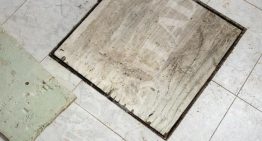 Así es el zulo en la antigua casa del acusado por la muerte de Esther López y que la Guardia Civil va a inspeccionar «en busca de restos biológicos y humanos»