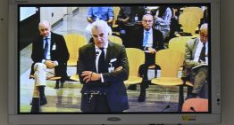 Degeneración de la regeneración